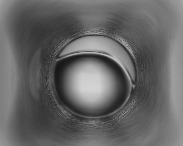 X0000116040385200911271202