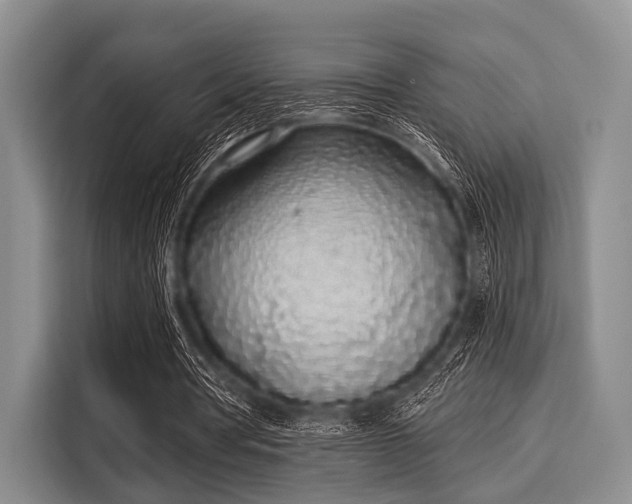 X0000116040386200911271202