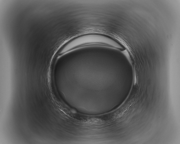 X0000116040387200911271202