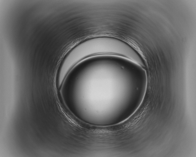 X0000116040389200911271202