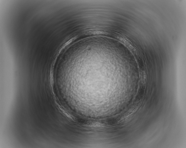 X0000116040390200911271202