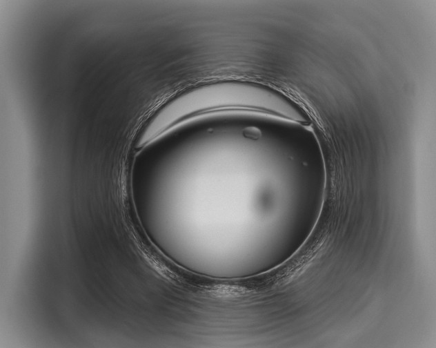 X0000116040393200911271202