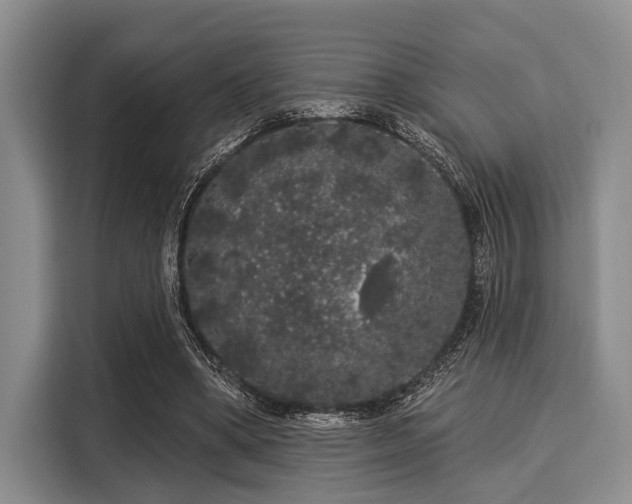 X0000116040394200911271202