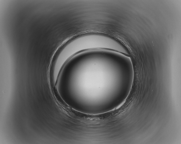 X0000116040395200911271202