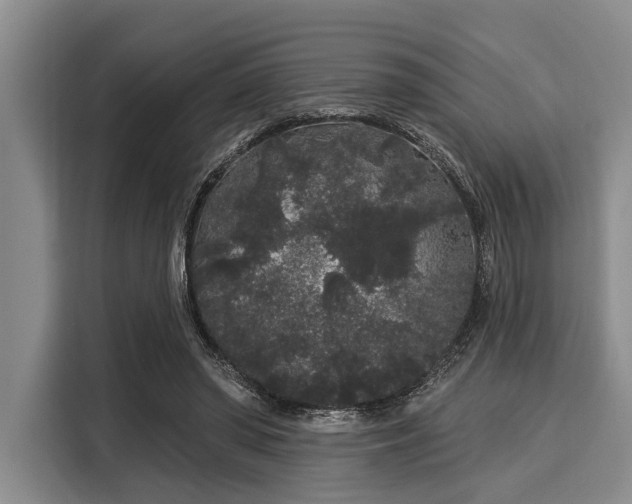 X0000116040398200911271202