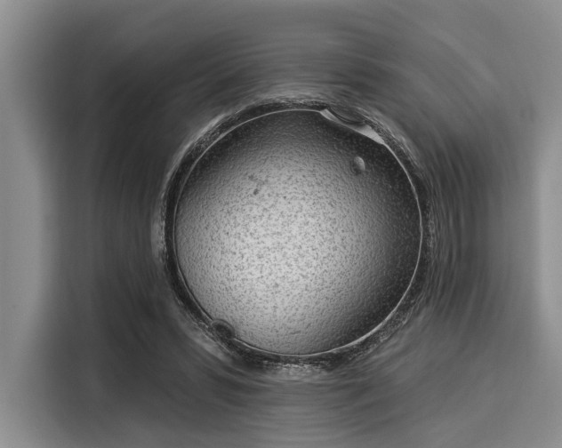 X0000116040399200911271202