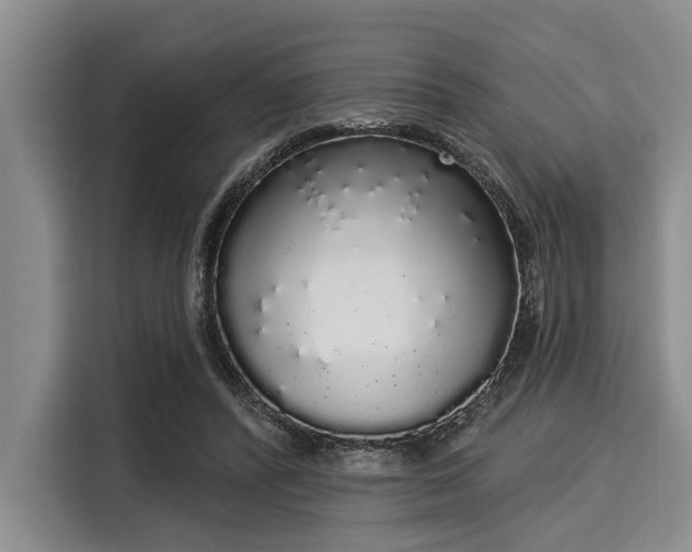 X0000116040400200911271202