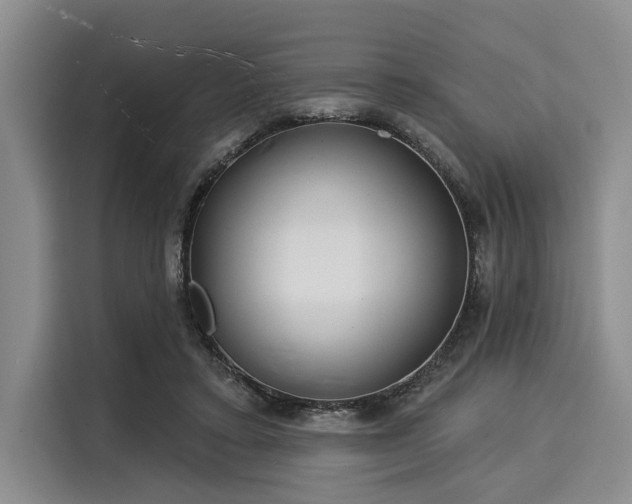 X0000116040403200911271202