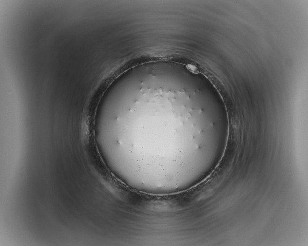 X0000116040404200911271202