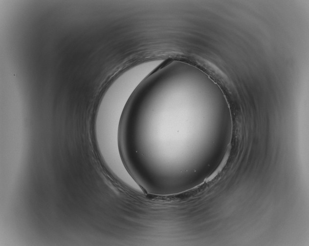 X0000116040405200911271202