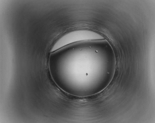 X0000116040411200911271202