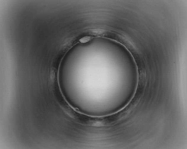 X0000116040412200911271202