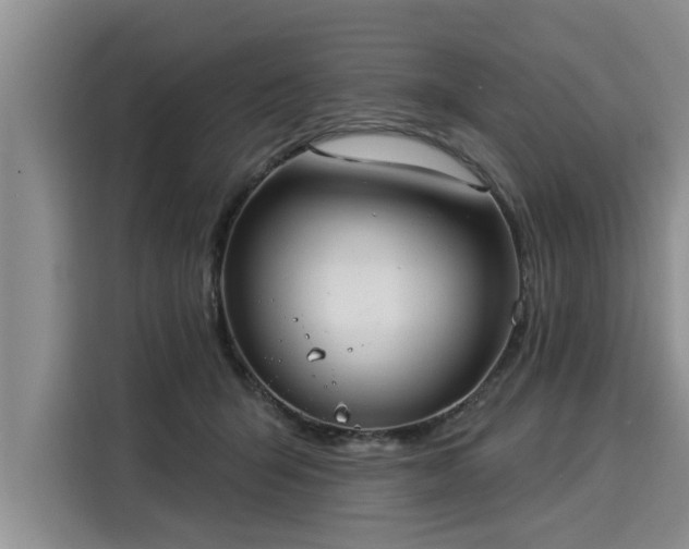 X0000116040415200911271202