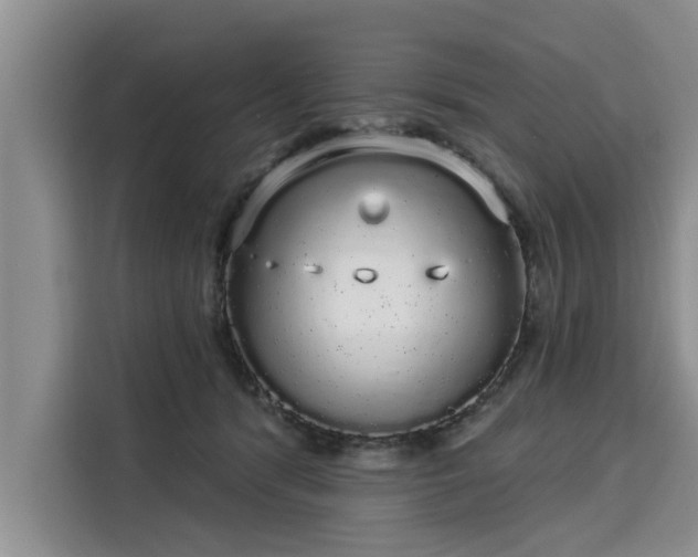 X0000116040416200911271202