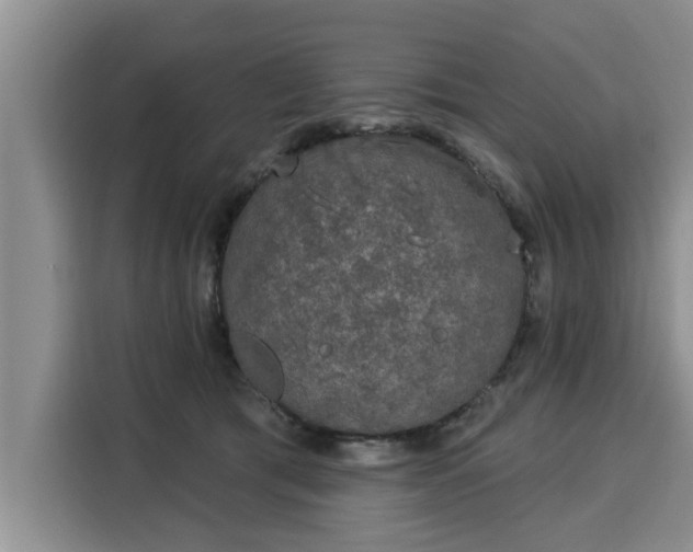 X0000116040417200911271202