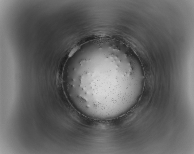 X0000116040420200911271202