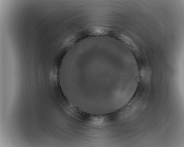 X0000116040423200911271202