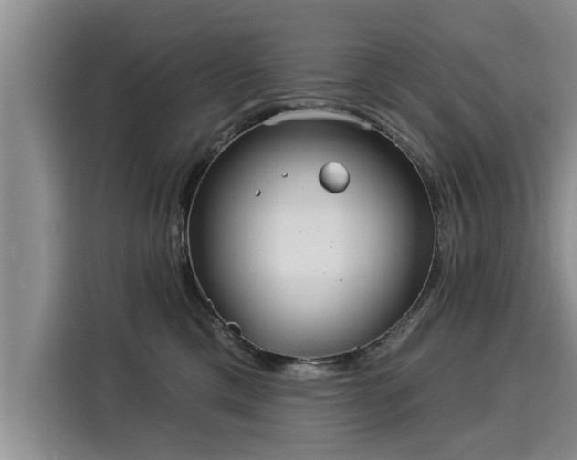 X0000116040425200911271202