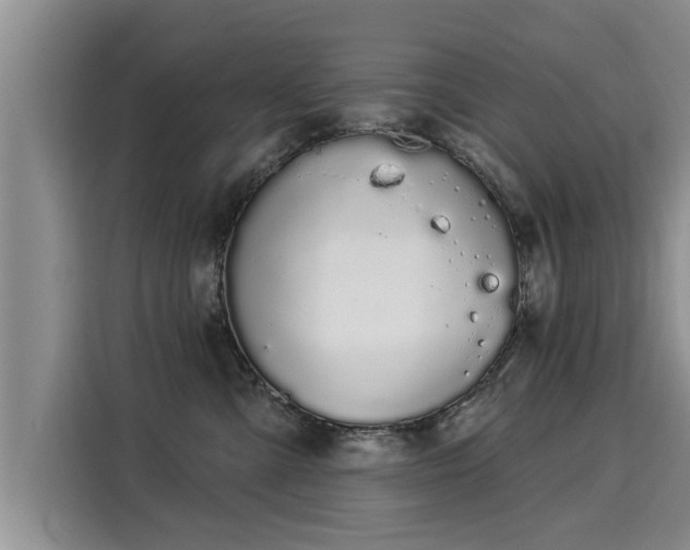 X0000116040427200911271202