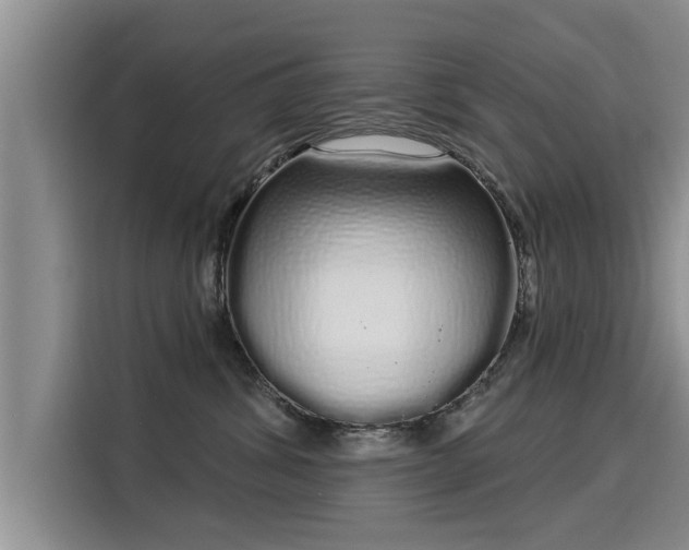 X0000116040428200911271202