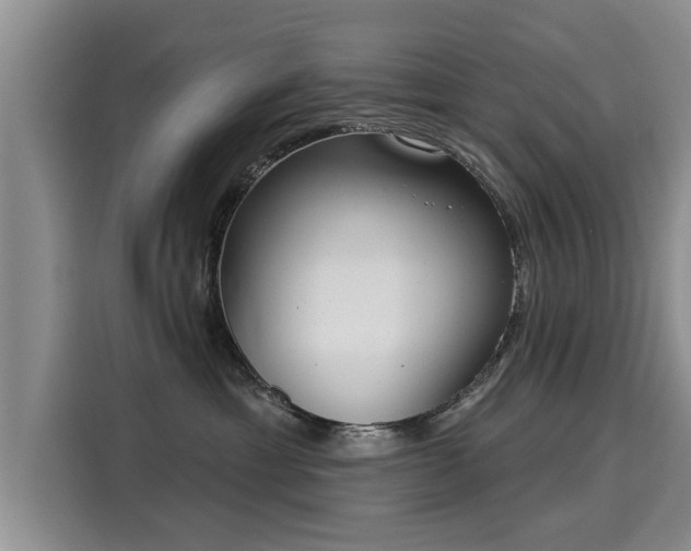 X0000116040429200911271202