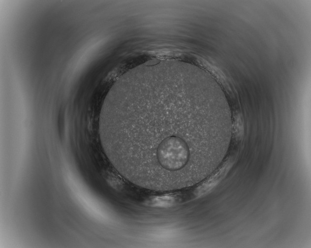 X0000116040430200911271202