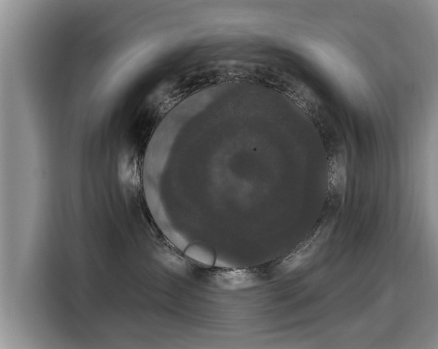 X0000116040431200911271202