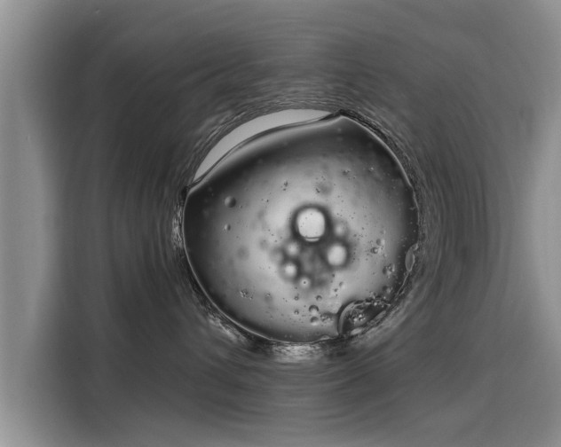 X0000116040432200911271202