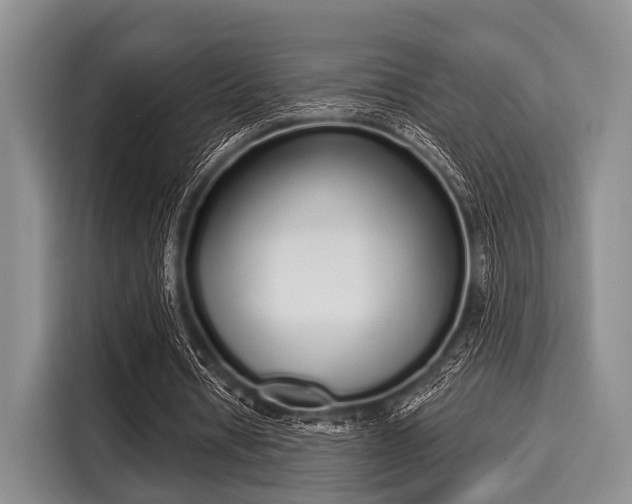 X0000116040434200911271201