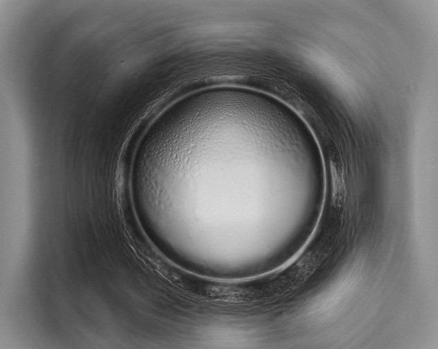 X0000116040435200911271201