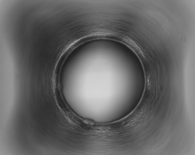 X0000116040436200911271201