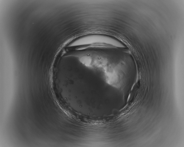 X0000116040438200911271201