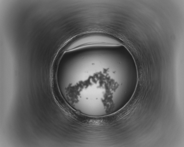 X0000116040440200911271201