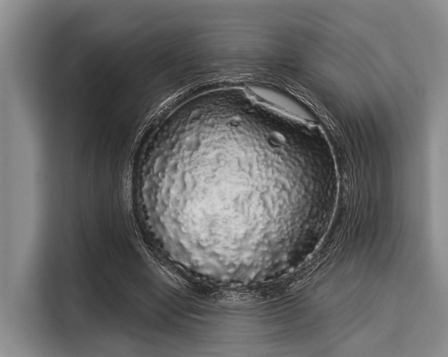 X0000116040442200911271201