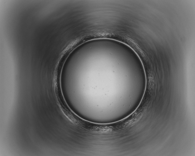 X0000116040443200911271201