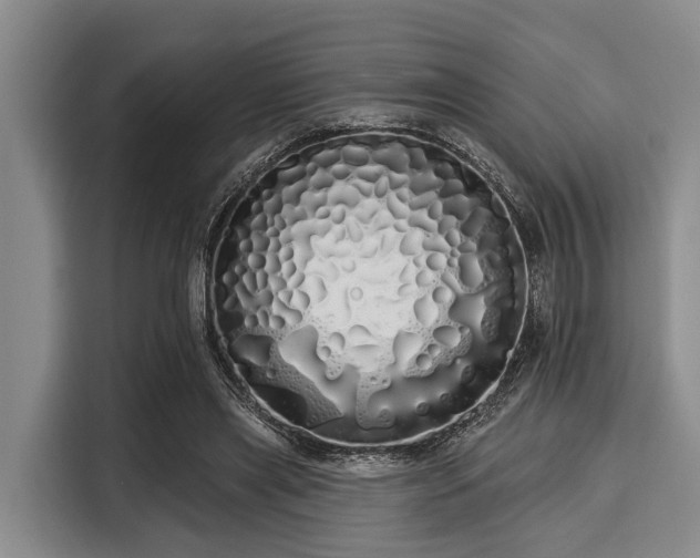 X0000116040445200911271201