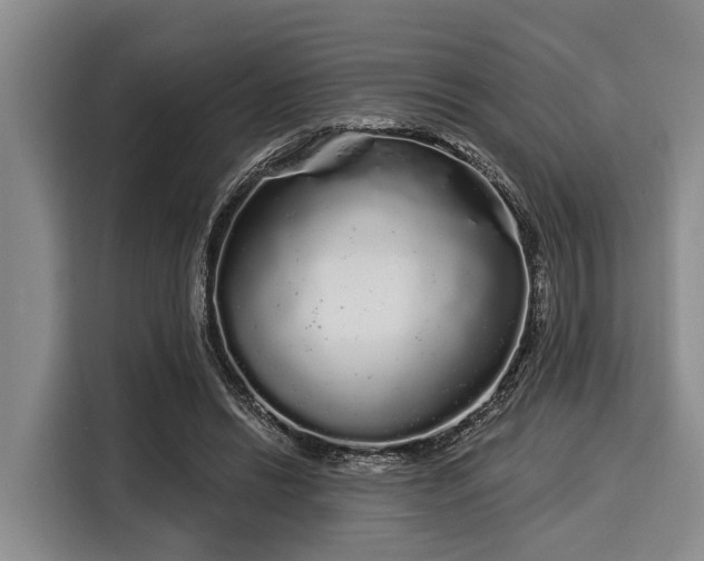 X0000116040446200911271201