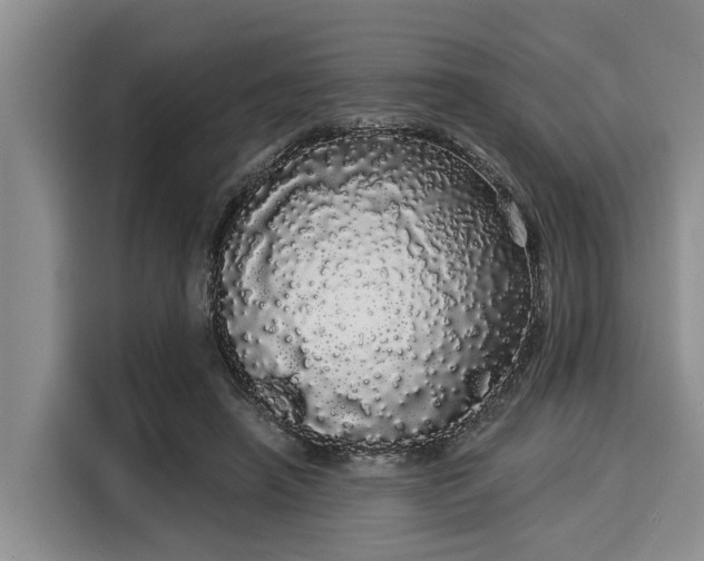 X0000116040450200911271201