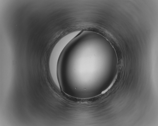 X0000116040452200911271201