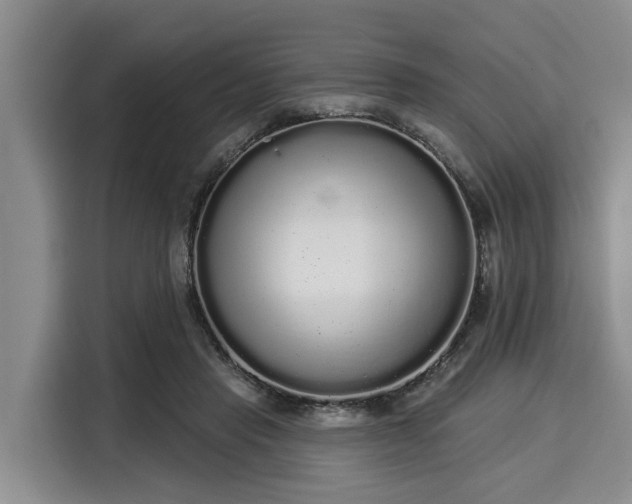 X0000116040453200911271201