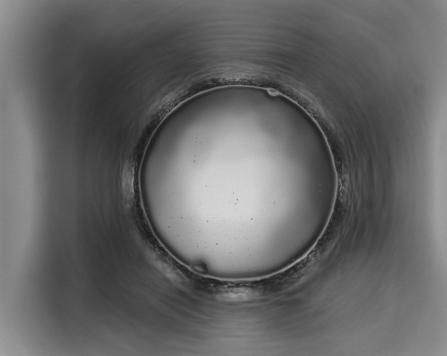 X0000116040454200911271201