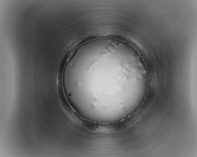 X0000116040455200911271201