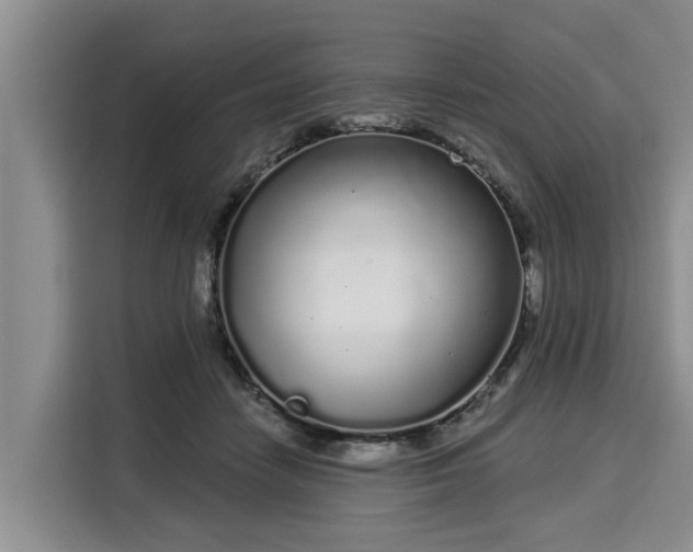 X0000116040458200911271201