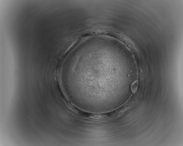 X0000116040465200911271201