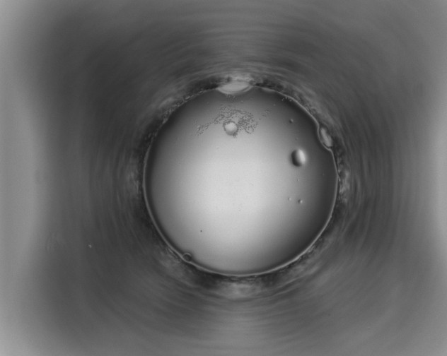 X0000116040466200911271201