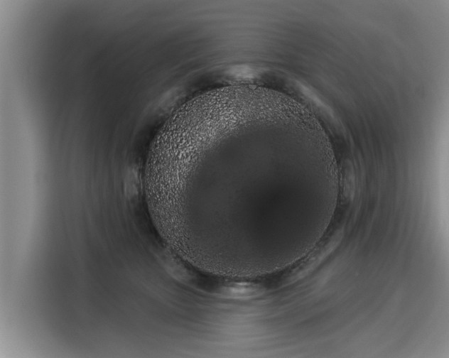 X0000116040467200911271201