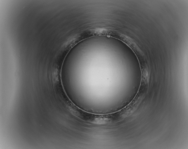 X0000116040470200911271201