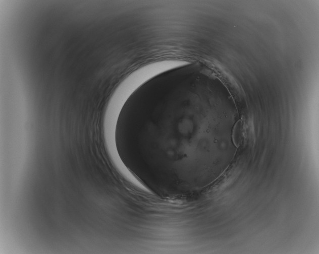 X0000116040471200911271201