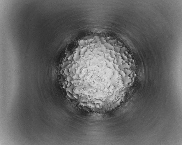 X0000116040473200911271201