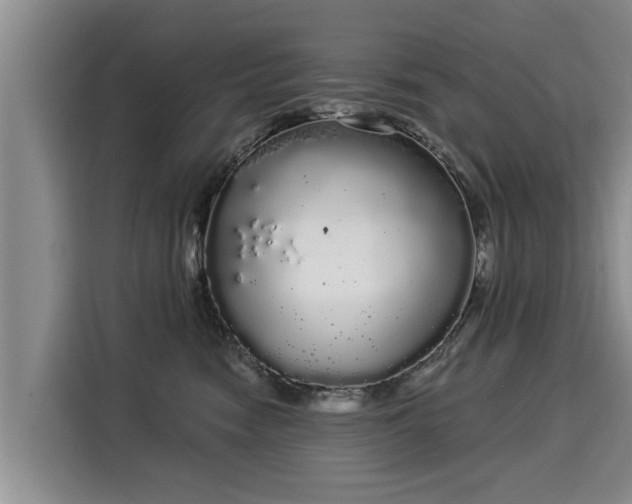 X0000116040474200911271201